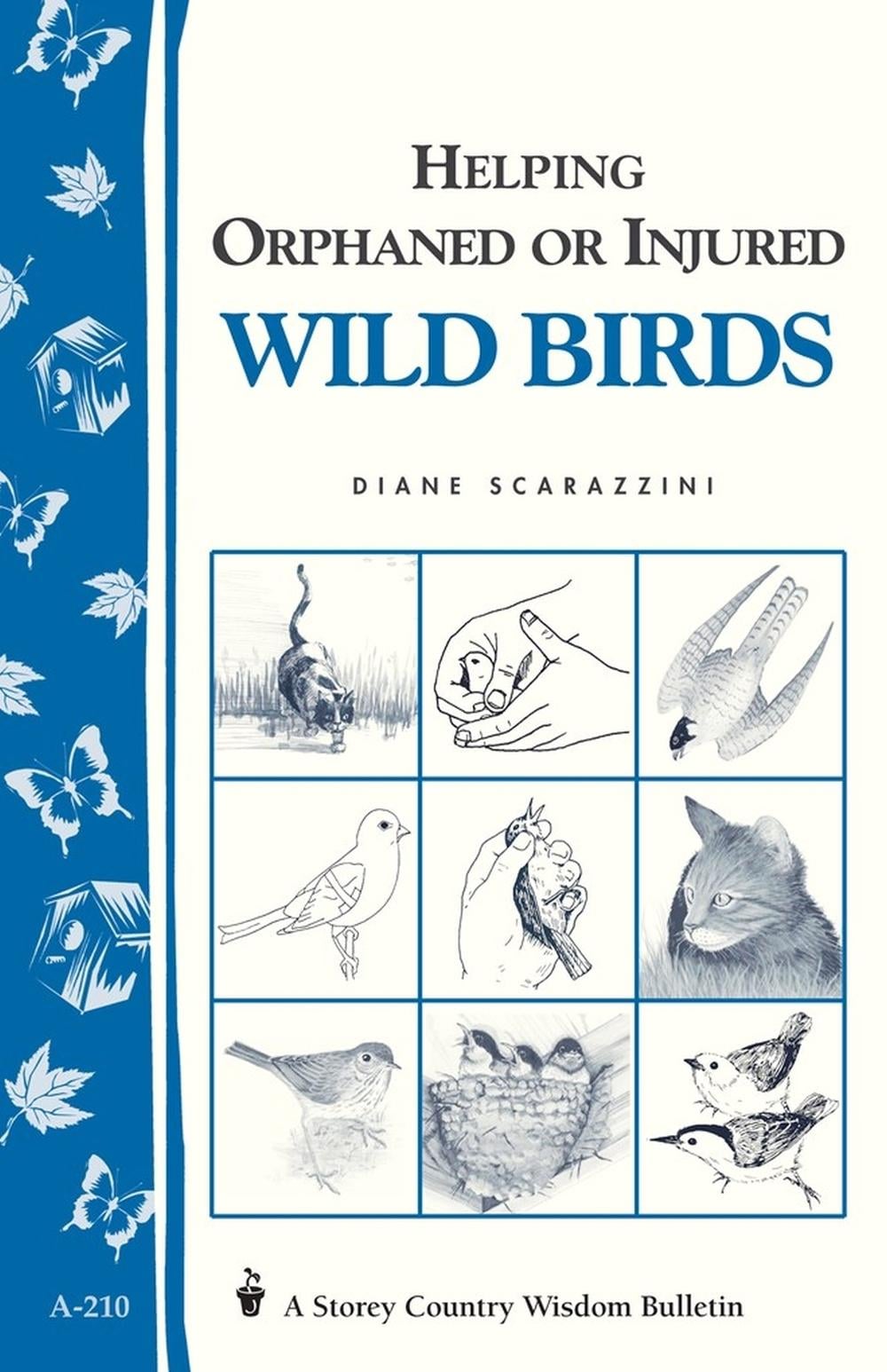 Helping Orphaned or Injured Wild Birds by Diane Scarazzini - ISBN: 9781580172318