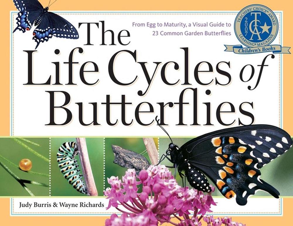The Life Cycles of Butterflies by Judy Burris - ISBN: 9781580176170