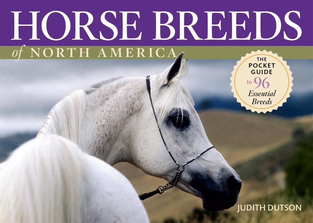 Horse Breeds of North America by Judith Dutson - ISBN: 9781580176507