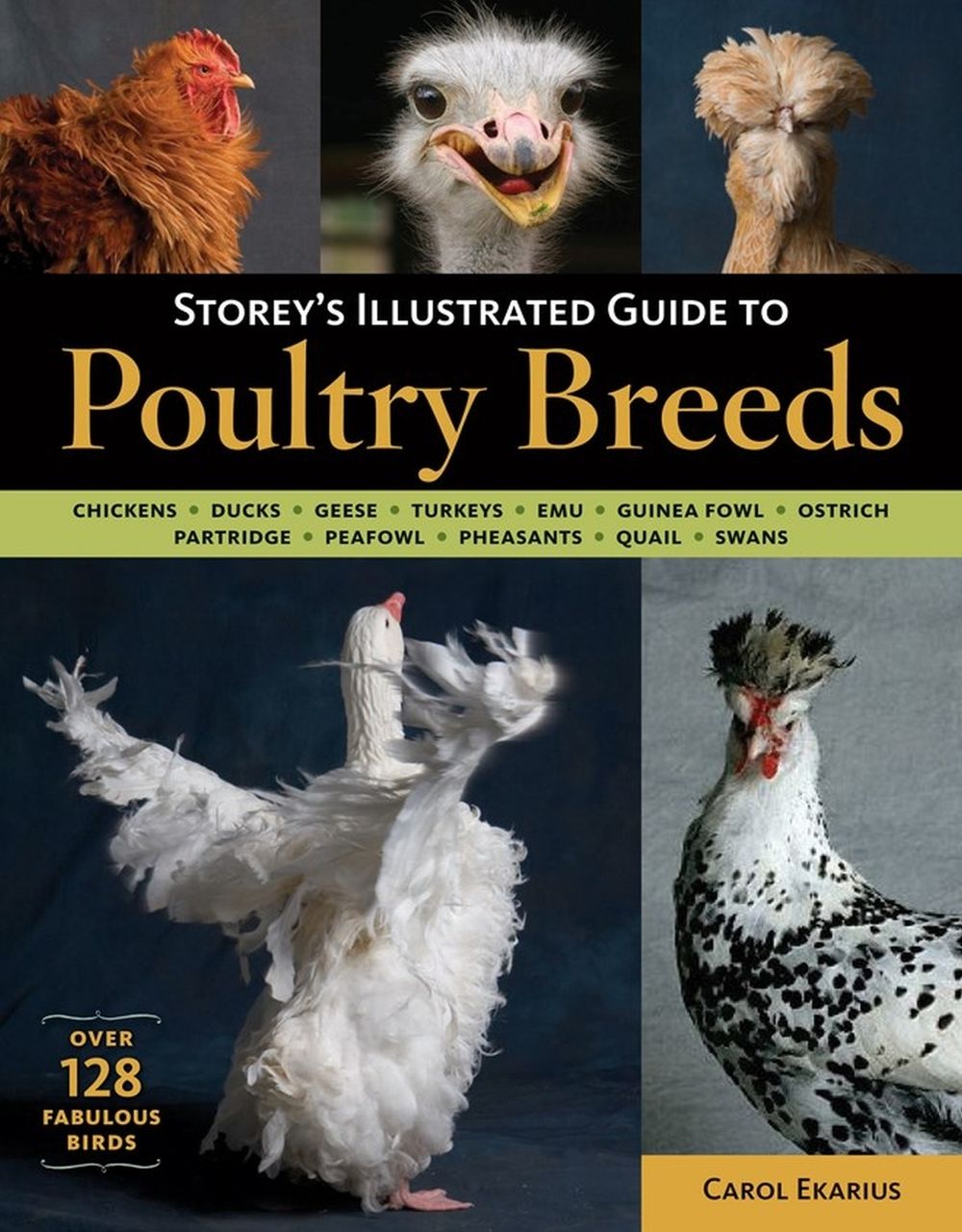 Storey's Illustrated Guide to Poultry Breeds, 1st Edition by Carol Ekarius - ISBN: 9781580176675