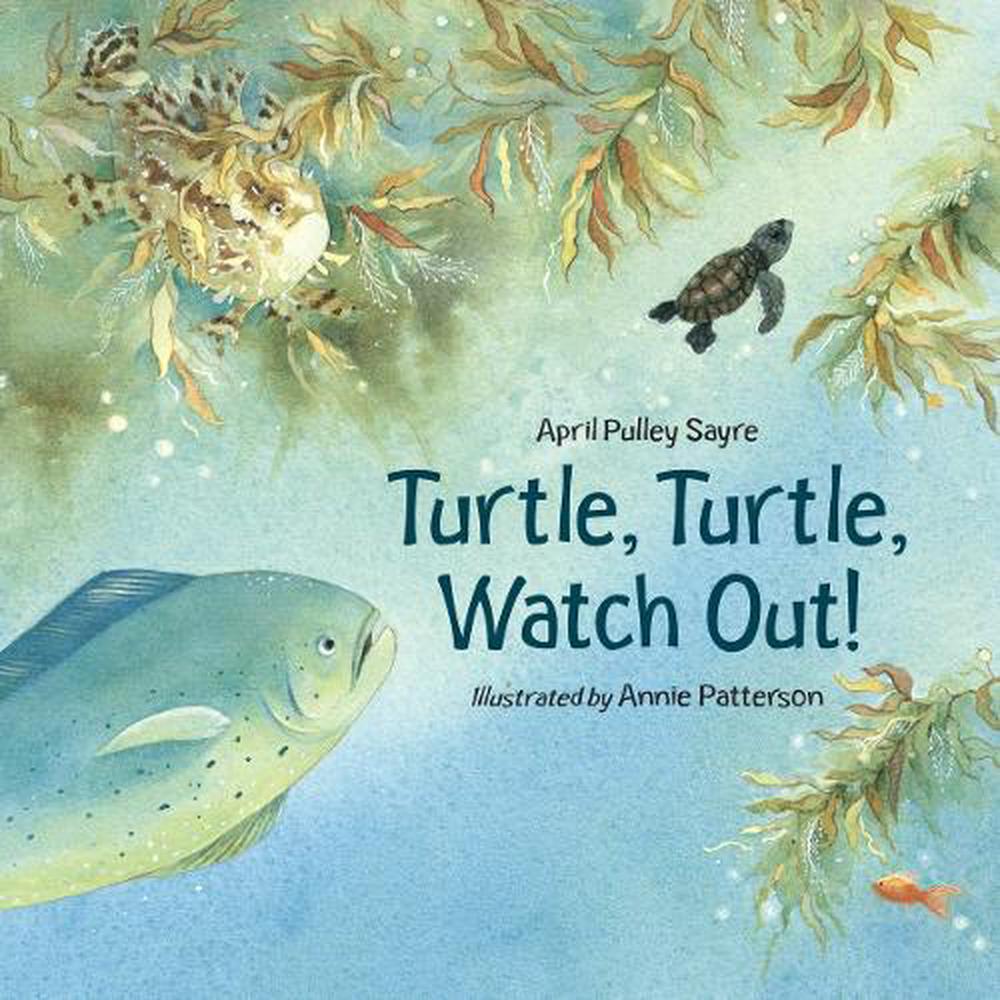 Turtle, Turtle, Watch Out! by April Pulley Sayre - ISBN: 9781580891493