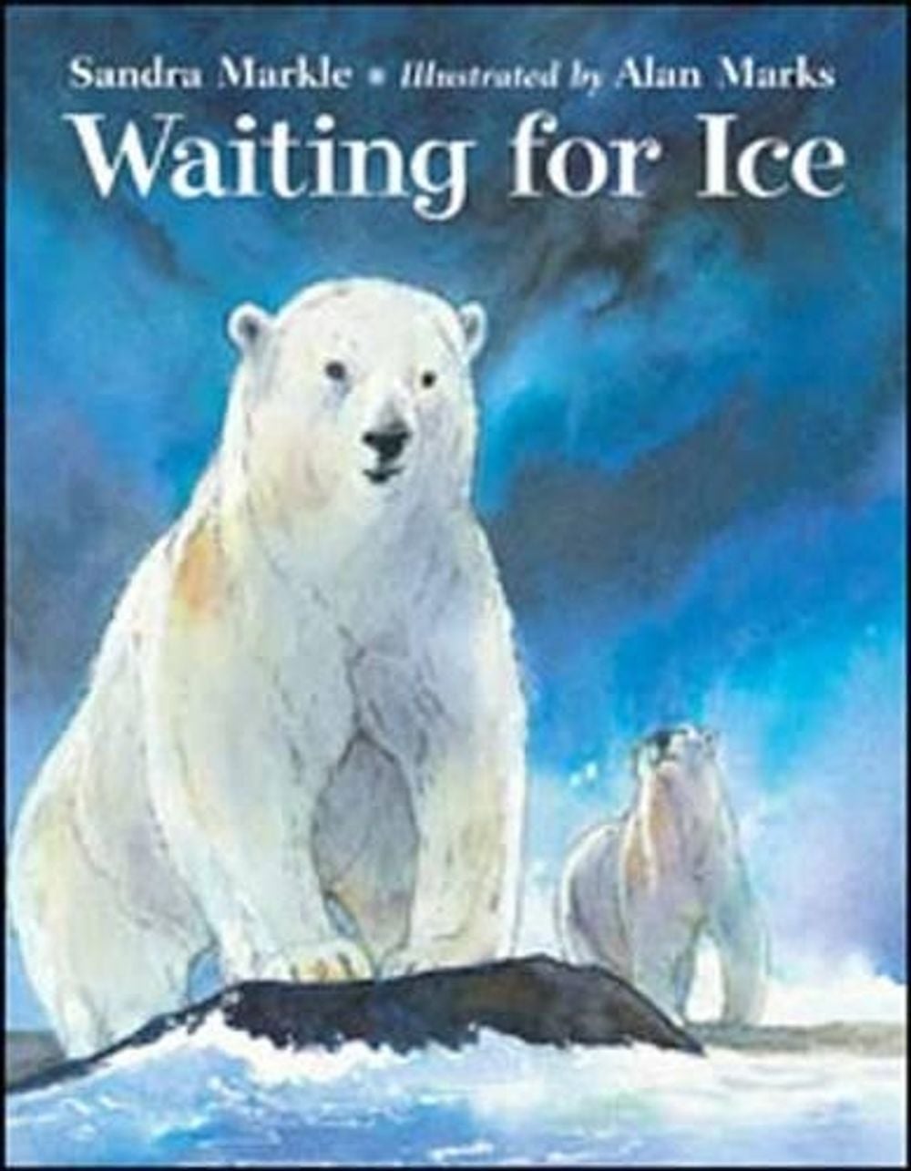 Waiting for Ice by Sandra Markle - ISBN: 9781580892551