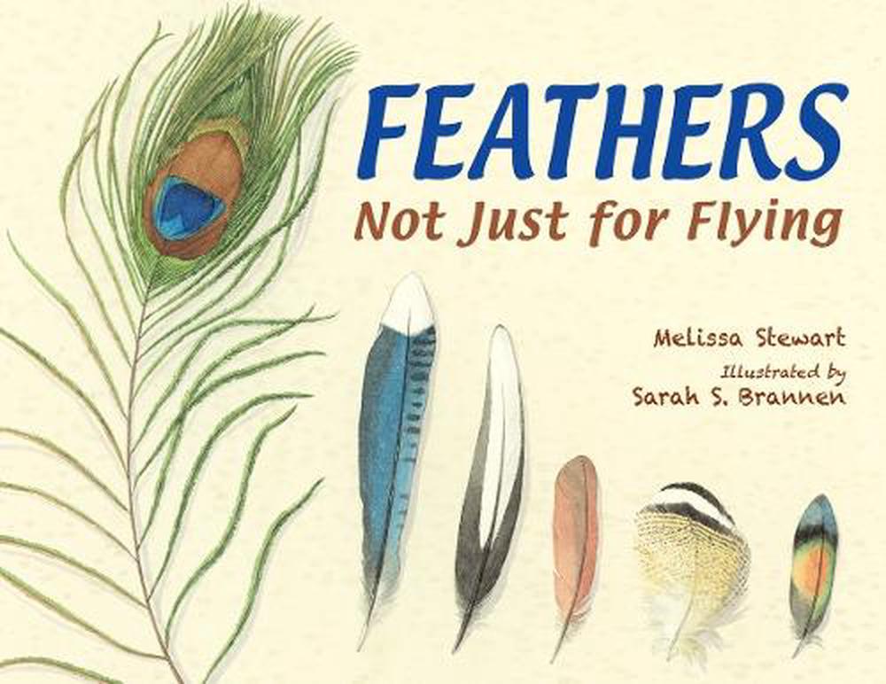 Feathers by Melissa Stewart - ISBN: 9781580894319