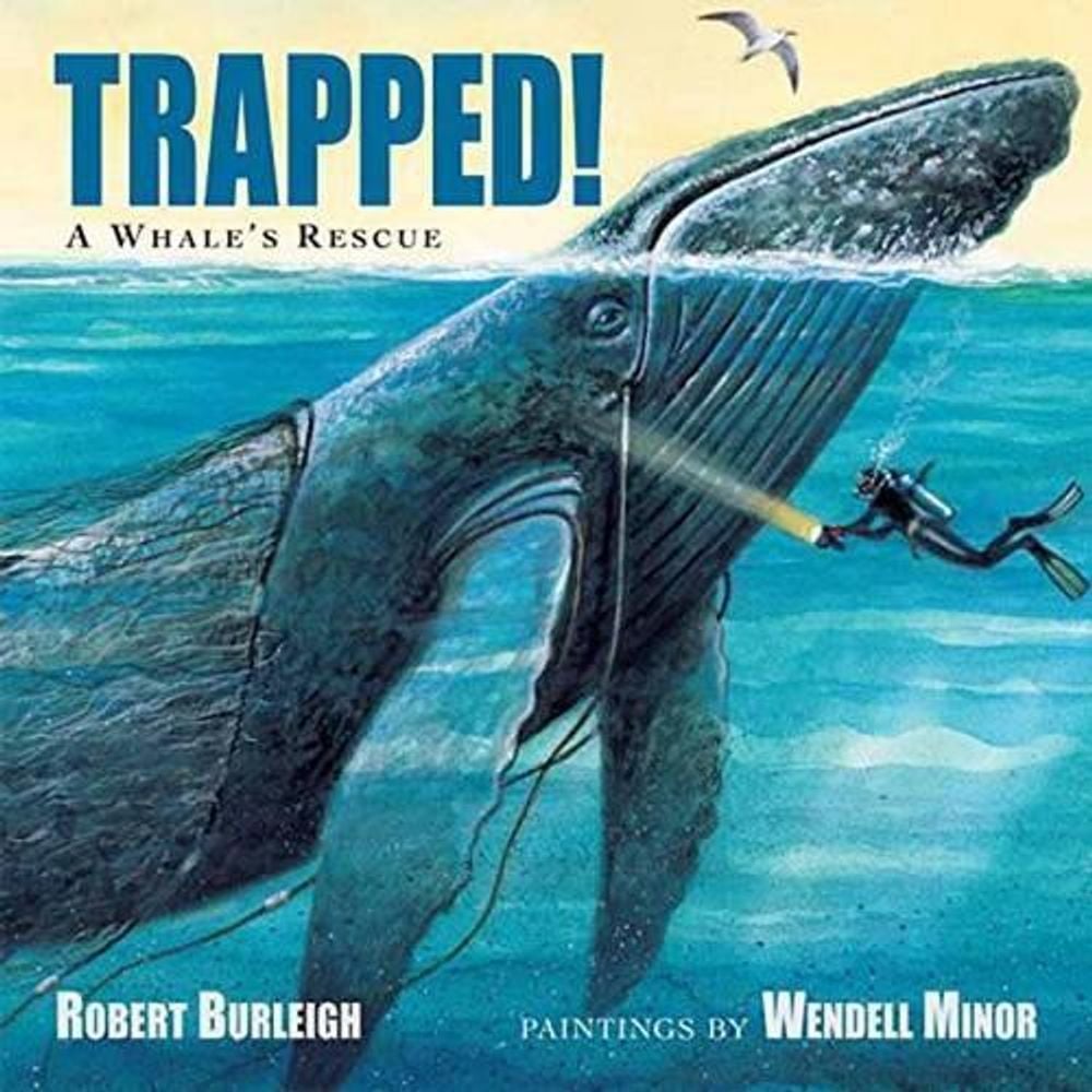 Trapped! A Whale's Rescue by Robert Burleigh - ISBN: 9781580895583