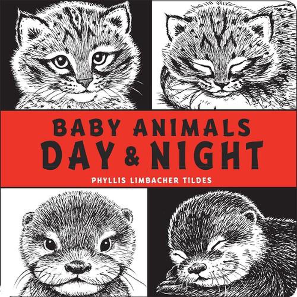 Baby Animals Day & Night by Phyllis Limbacher Tildes - ISBN: 9781580896092