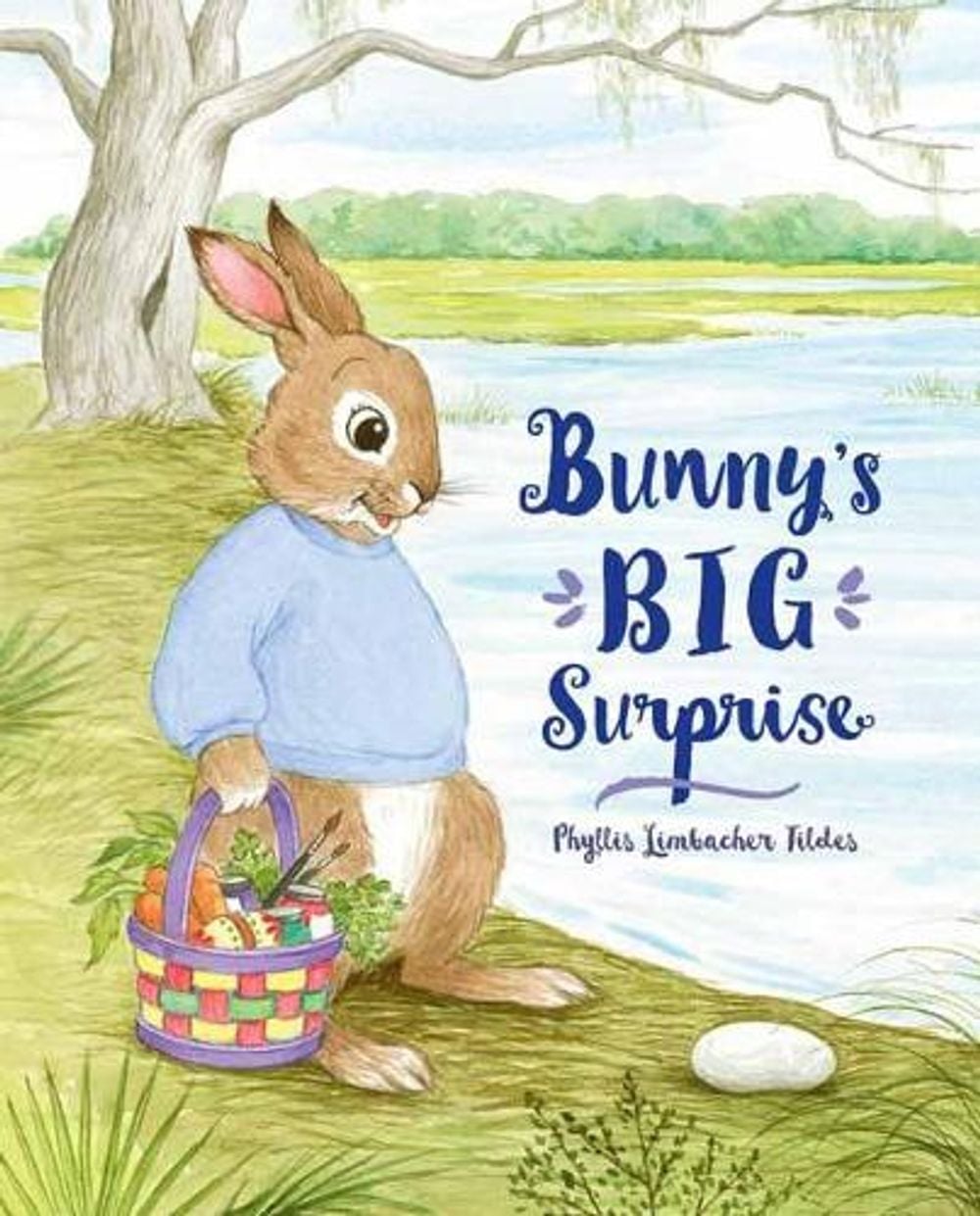 Bunny's Big Surprise by Phyllis Limbacher Tildes - ISBN: 9781580896849