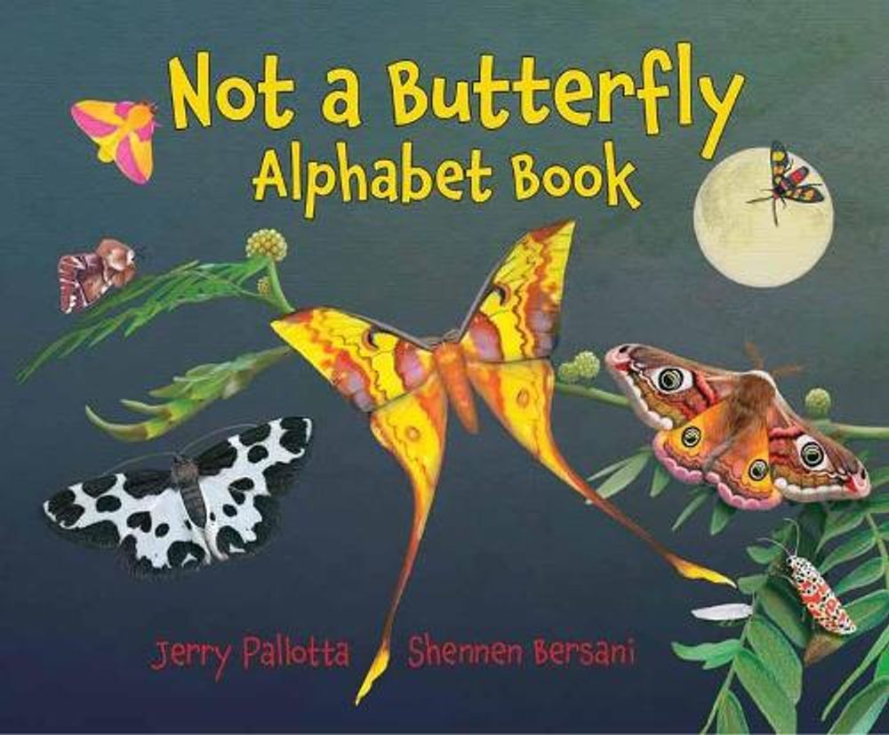 Not a Butterfly Alphabet Book by Jerry Pallotta - ISBN: 9781580896900