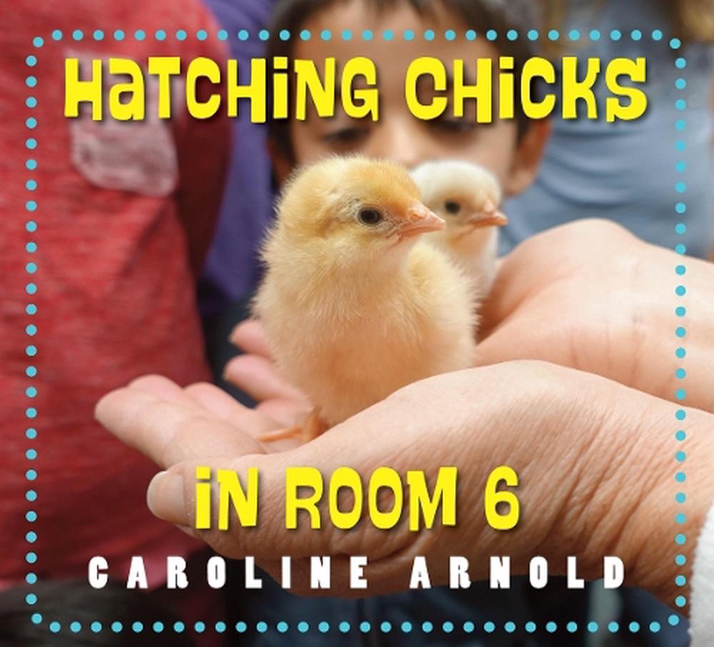 Hatching Chicks in Room 6 by Caroline Arnold - ISBN: 9781580897358