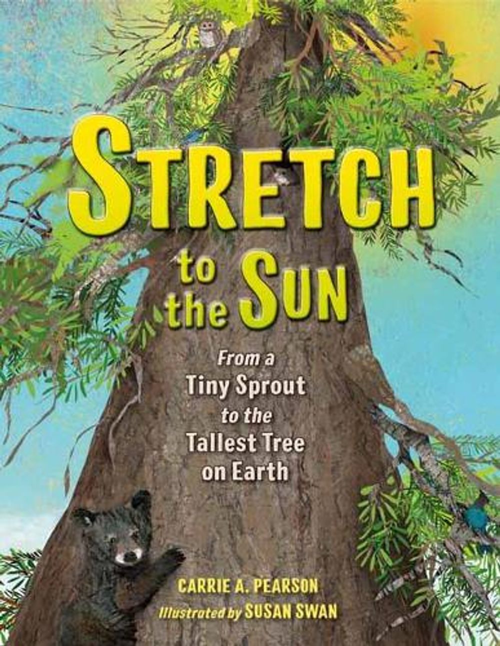 Stretch to the Sun by Susan Swan - ISBN: 9781580897716