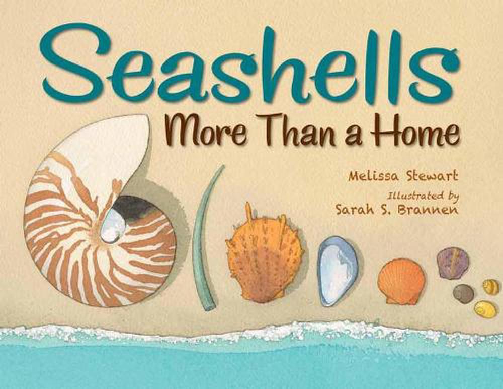 Seashells by Melissa Stewart - ISBN: 9781580898102