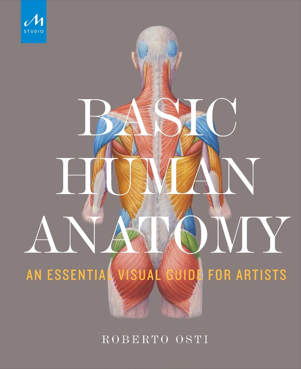 Basic Human Anatomy: An Essential Visual Guide for Artists by Roberto