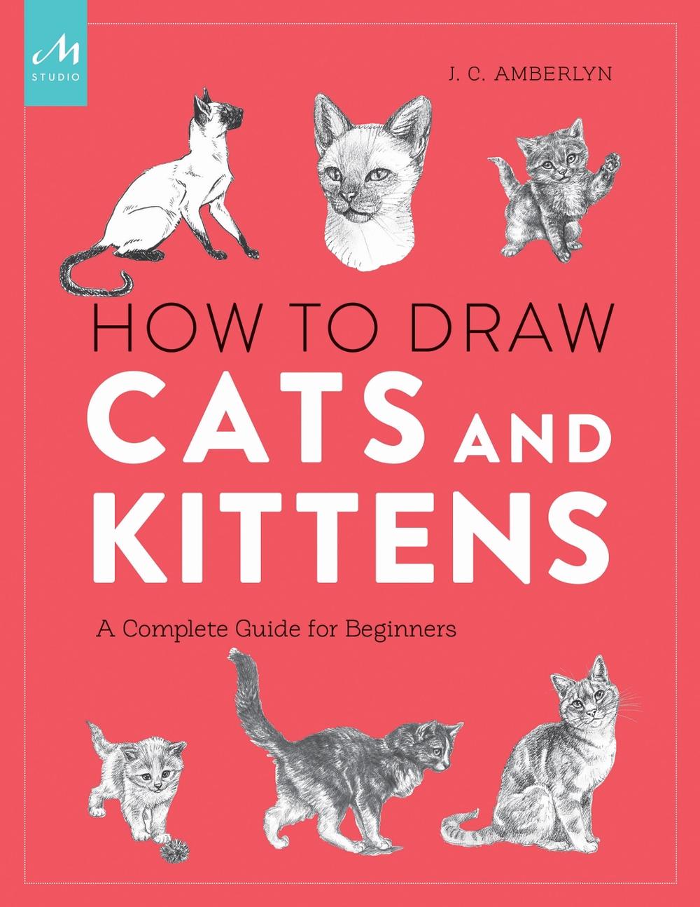 How to Draw Cats and Kittens, 9781580935005