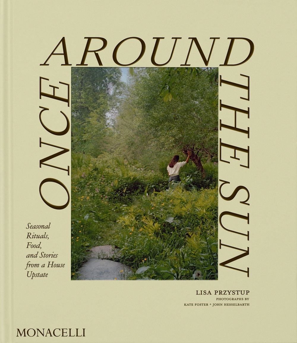 Once Around the Sun by Lisa Przystup - ISBN: 9781580937443