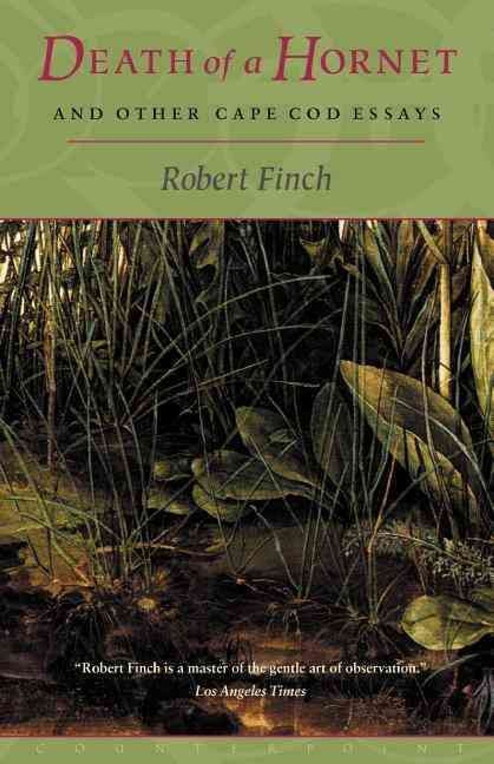 Death of a Hornet and Other Cape Cod Essays by Robert Finch - ISBN: 9781582431383
