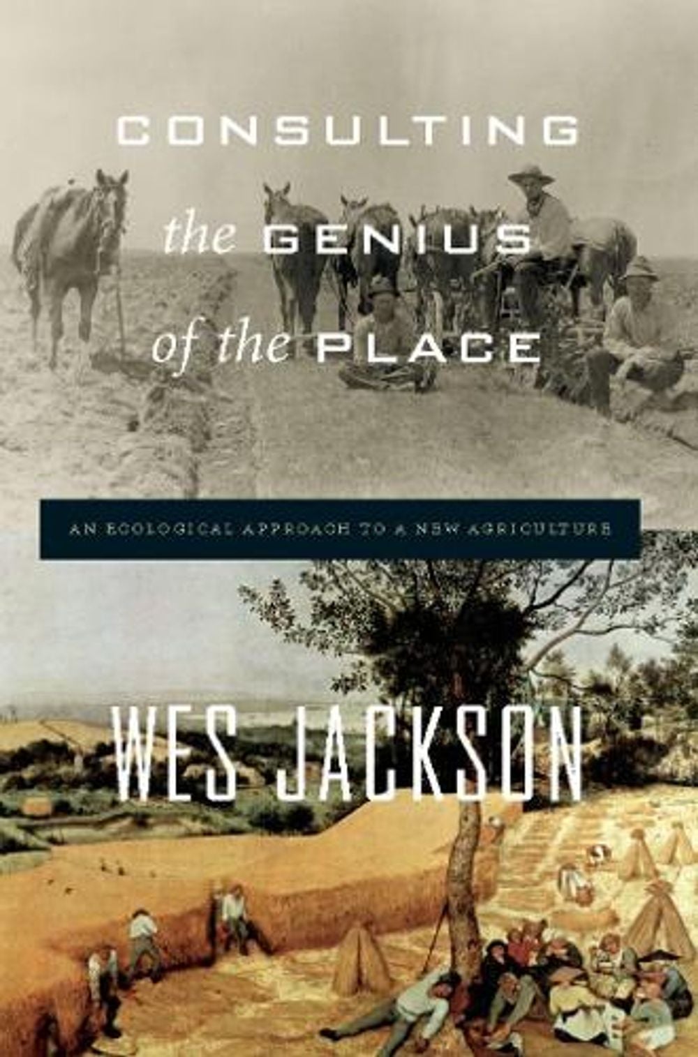 Consulting the Genius of the Place by Wes Jackson - ISBN: 9781582437804