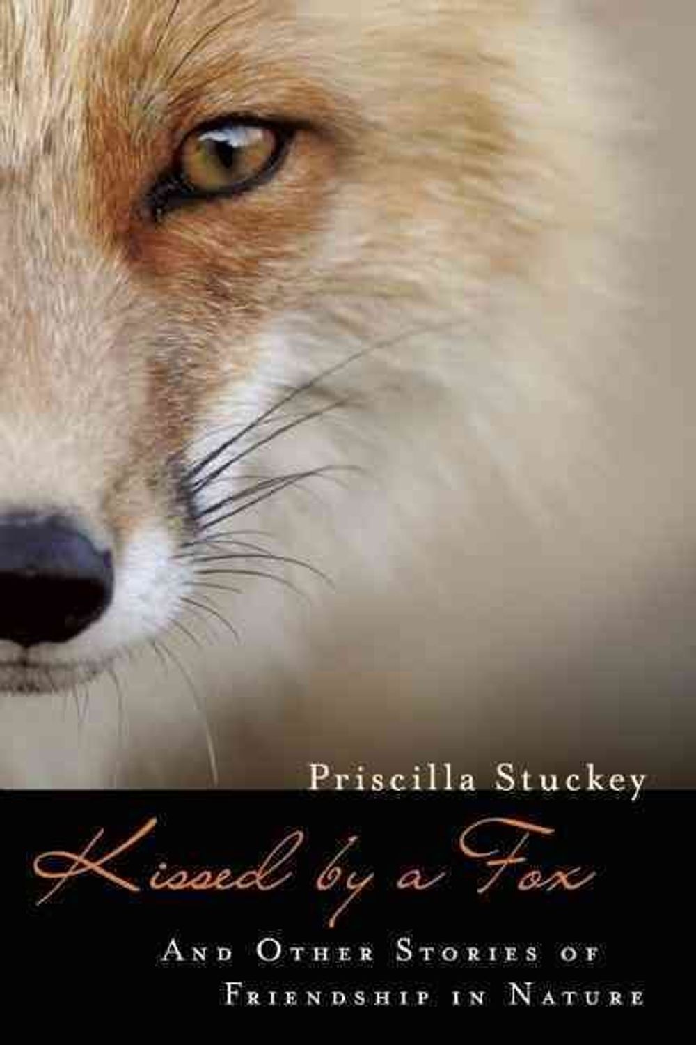 Kissed by a Fox by Priscilla Stuckey - ISBN: 9781582438122
