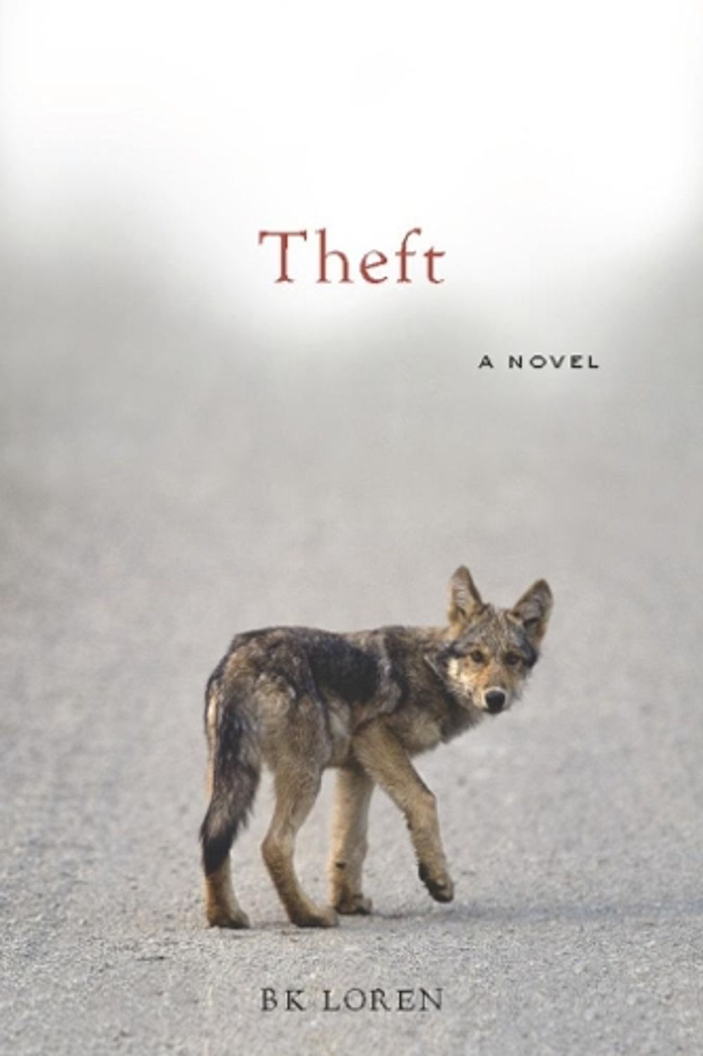 Theft by Bk Loren - ISBN: 9781582438191