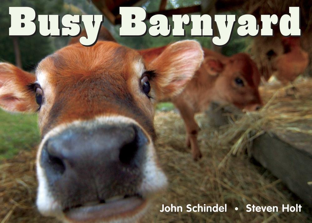 Busy Barnyard by John Schindel - ISBN: 9781582461687