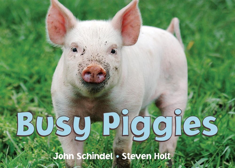 Busy Piggies by John Schindel - ISBN: 9781582461694