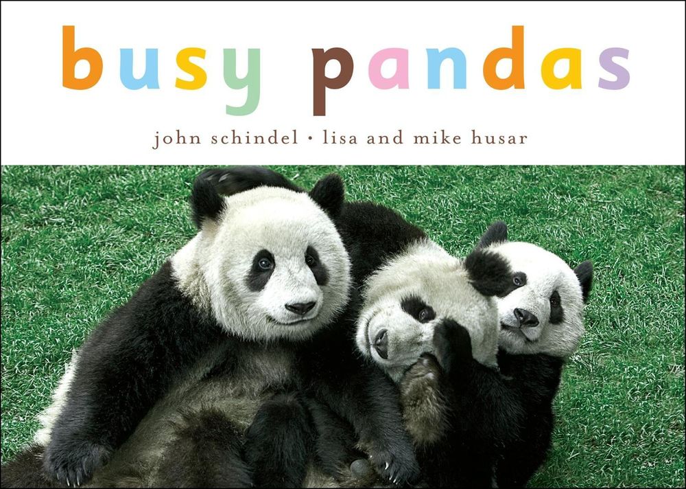 Busy Pandas by John Schindel - ISBN: 9781582462592