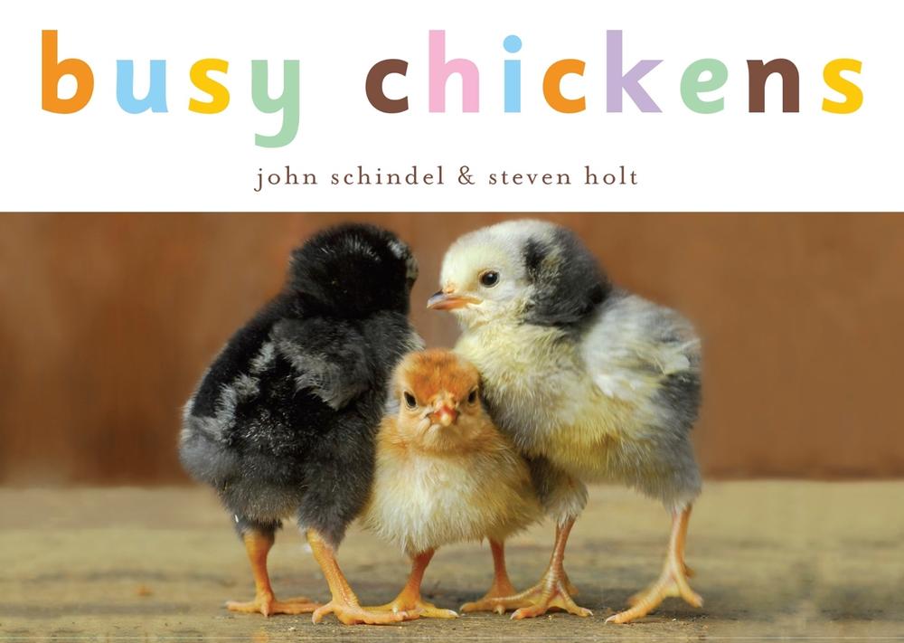 Busy Chickens by John Schindel - ISBN: 9781582462752