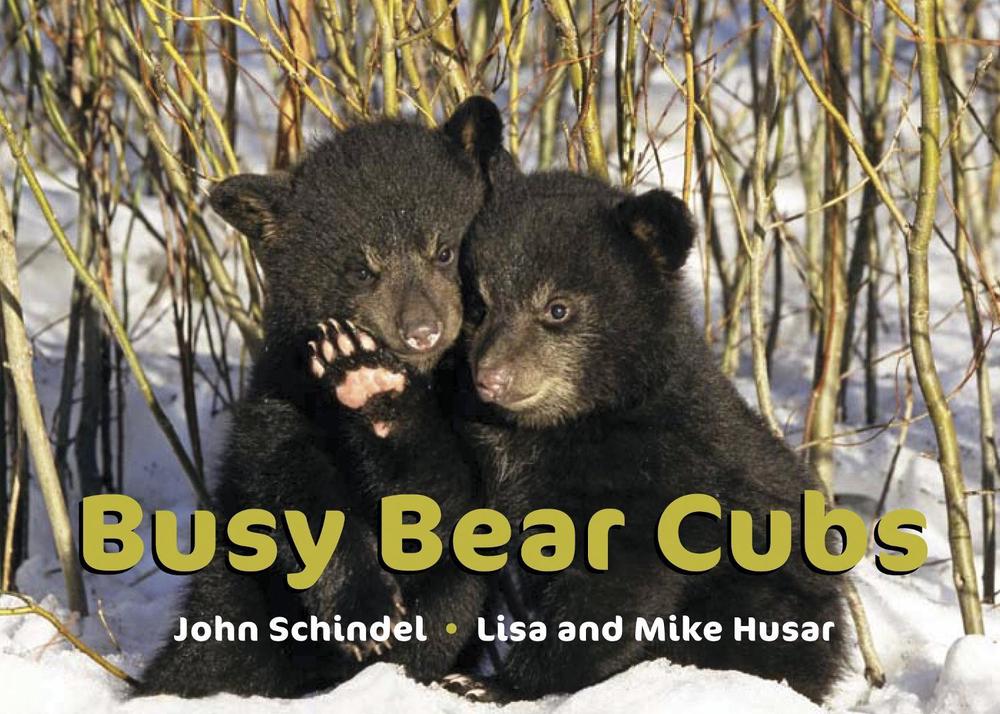 Busy Bear Cubs by John Schindel - ISBN: 9781582463025