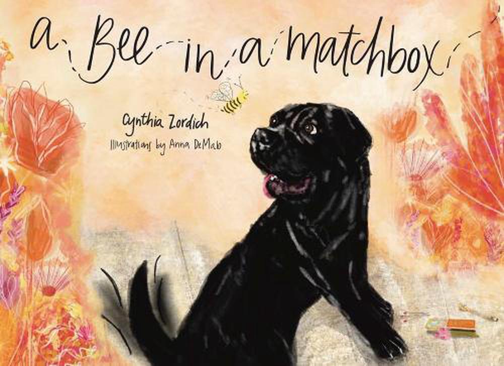 A Bee in a Matchbox by Cynthia Zordich - ISBN: 9781582709765