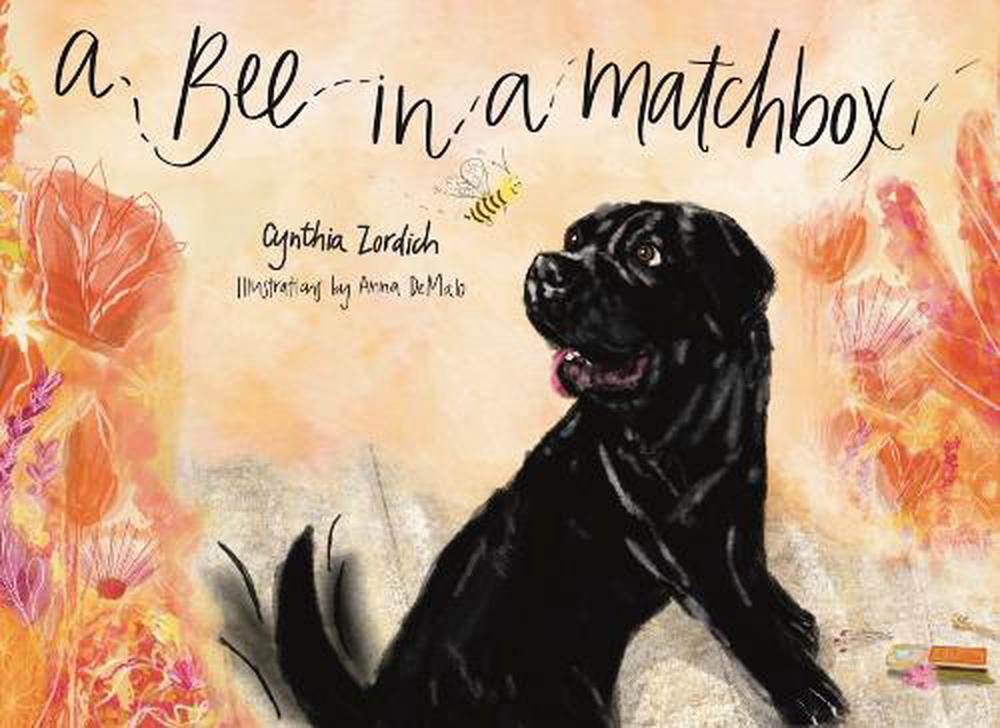 A Bee in a Matchbox by Cynthia Zordich - ISBN: 9781582709772