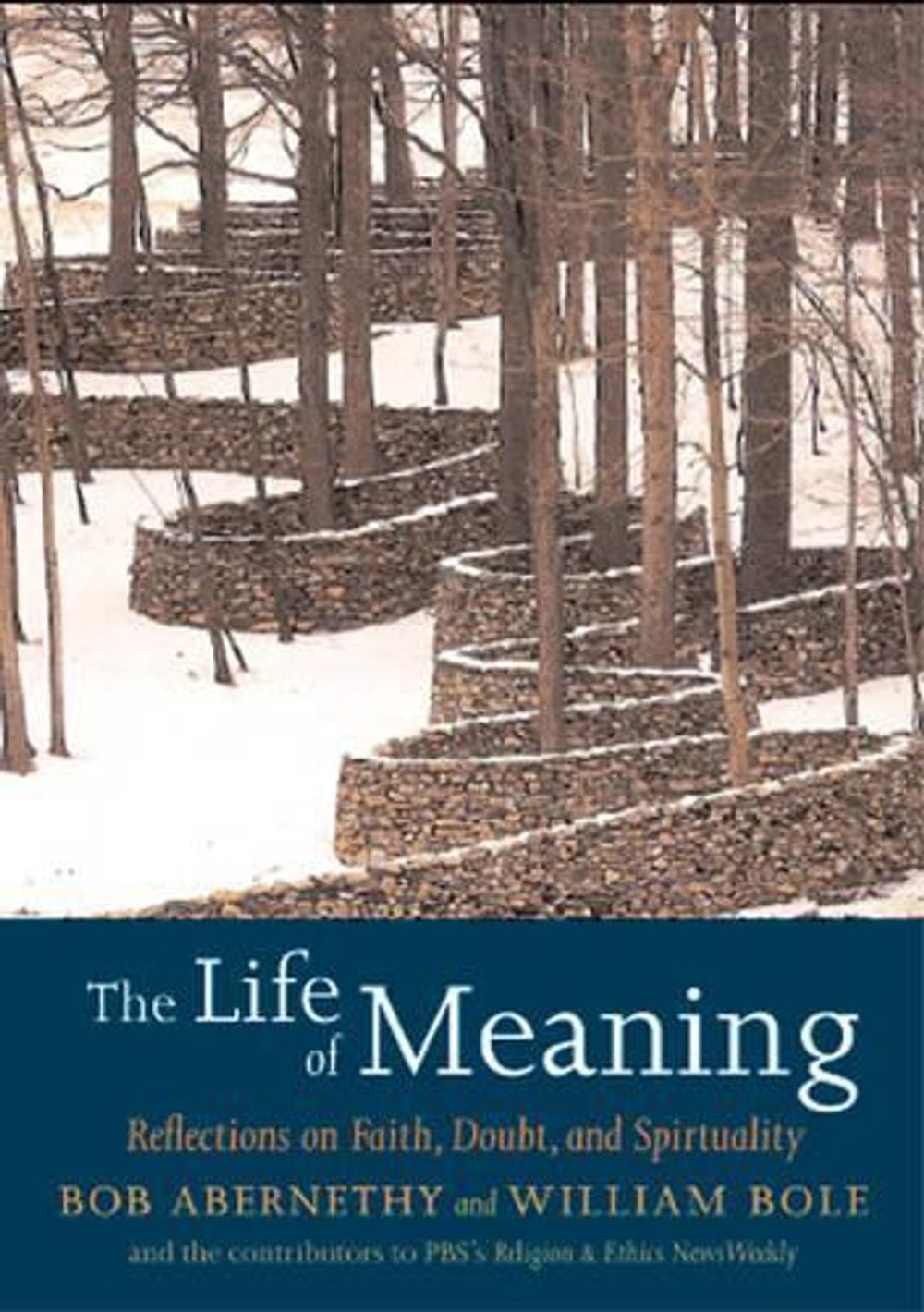 The Life of Meaning by William Bole - ISBN: 9781583228296