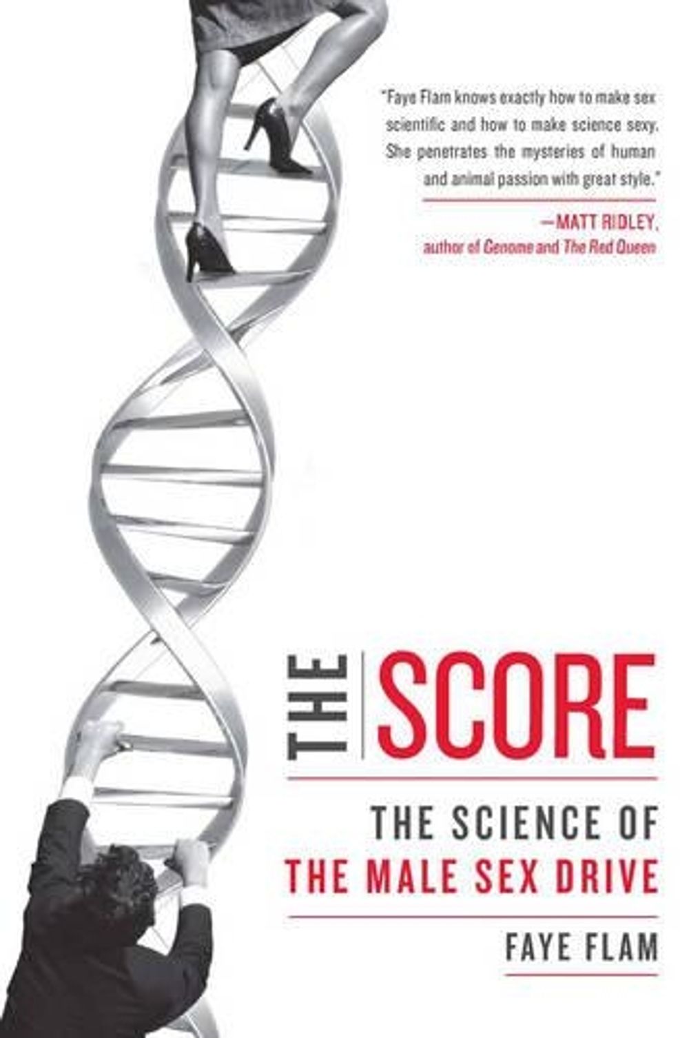 The Score by Faye Flam - ISBN: 9781583333495