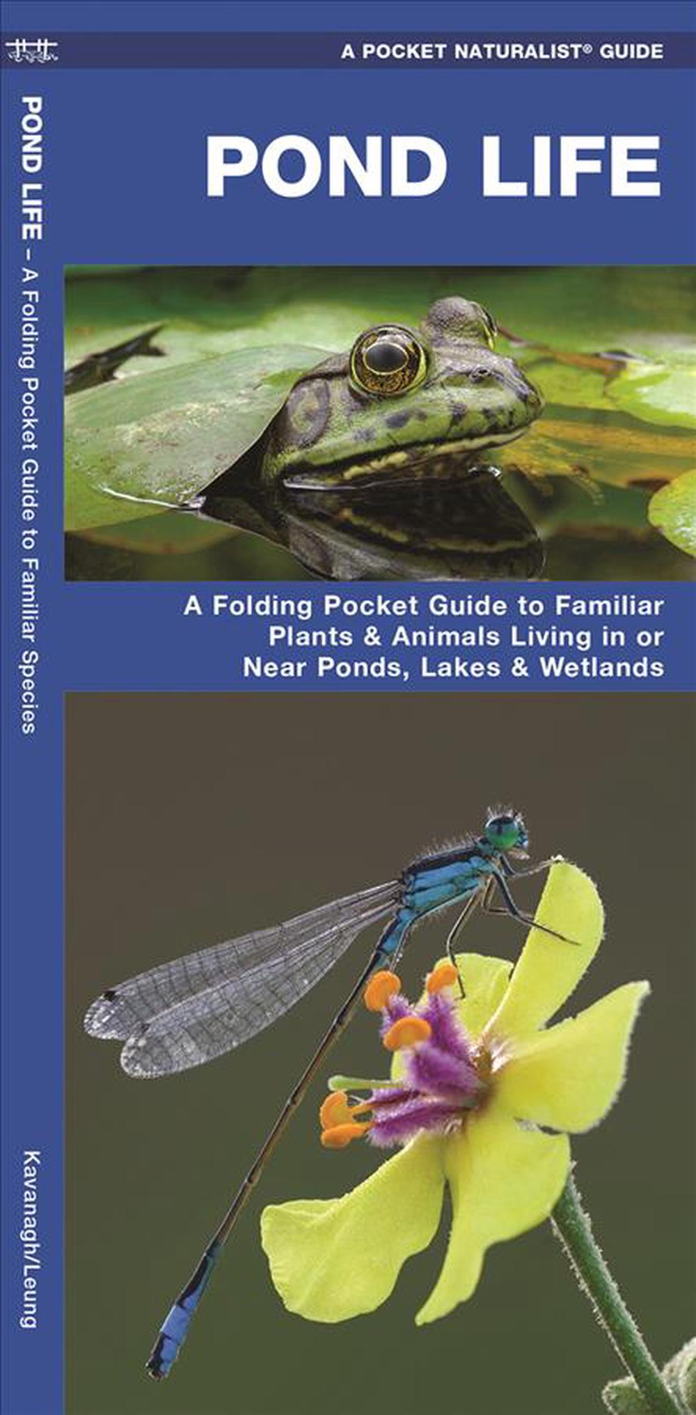 Pond Life by James Kavanagh - ISBN: 9781583552148