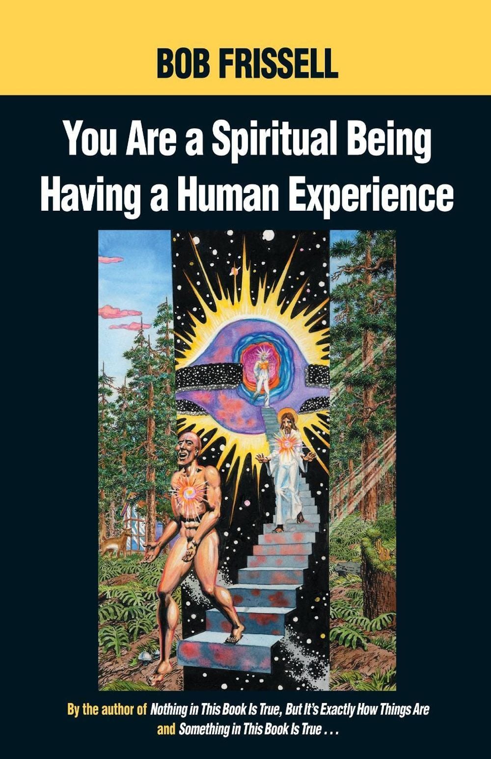 You Are a Spiritual Being Having a Human Experience by Bob Frissell - ISBN: 9781583940334