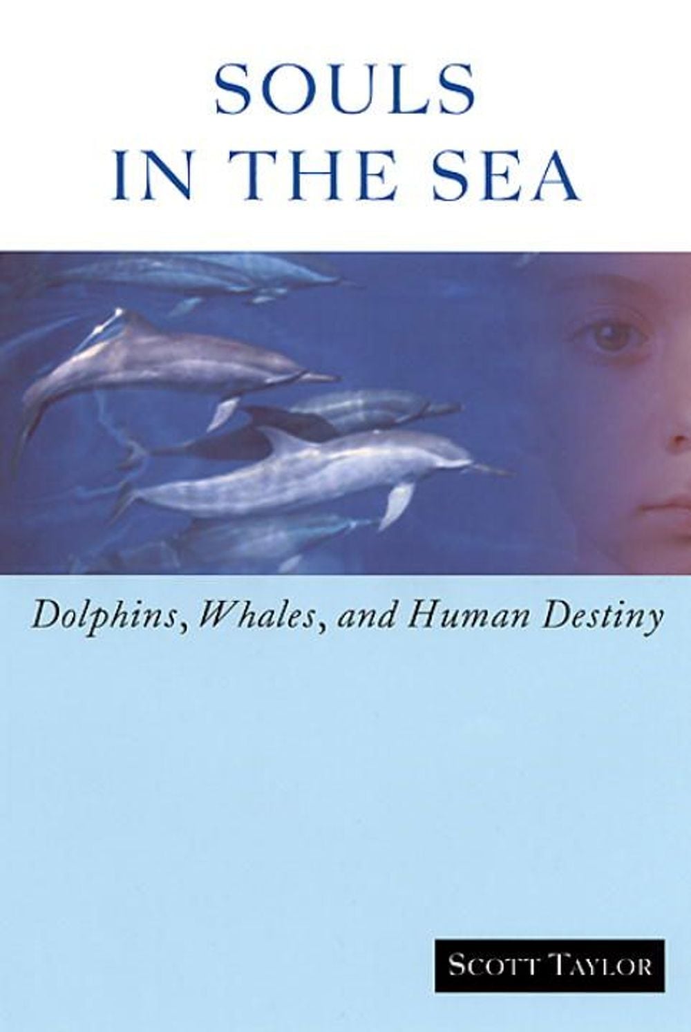 Souls in the Sea by Scott Taylor - ISBN: 9781583940716