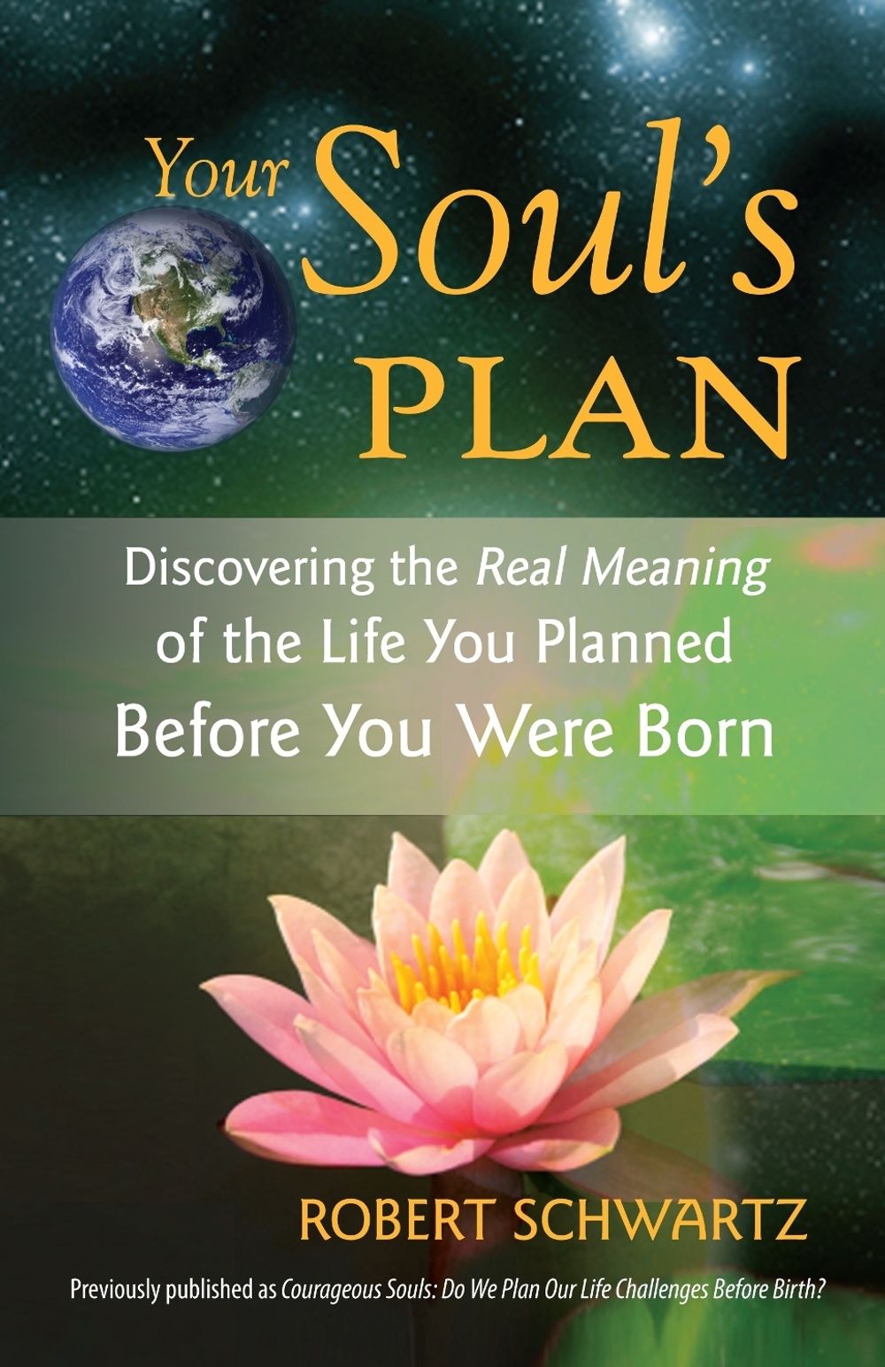 Your Soul's Plan by Robert Schwartz - ISBN: 9781583942727