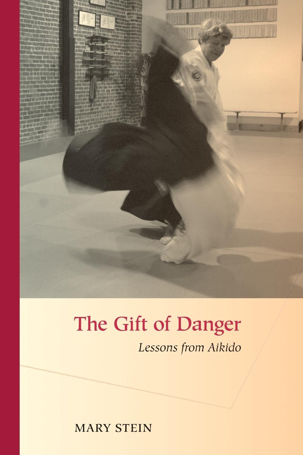 The Gift of Danger by Mary Stein - ISBN: 9781583942734