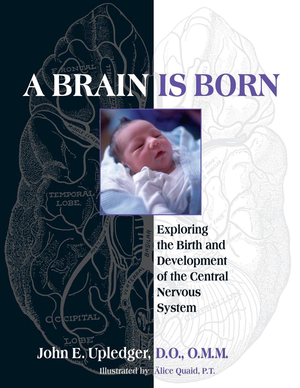 A Brain Is Born by John E. Upledger - ISBN: 9781583943014