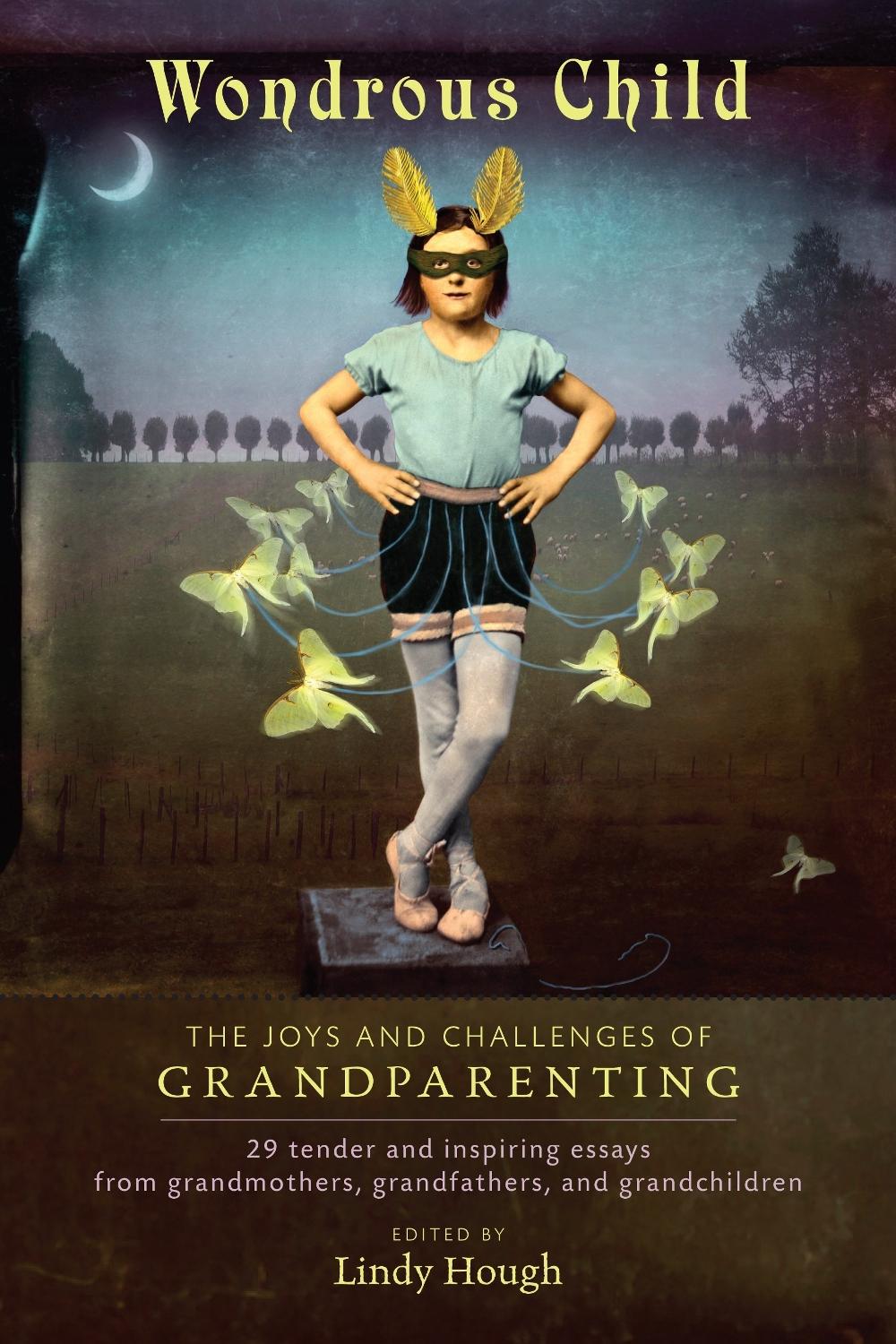 Wondrous Child by Lindy Hough - ISBN: 9781583943625