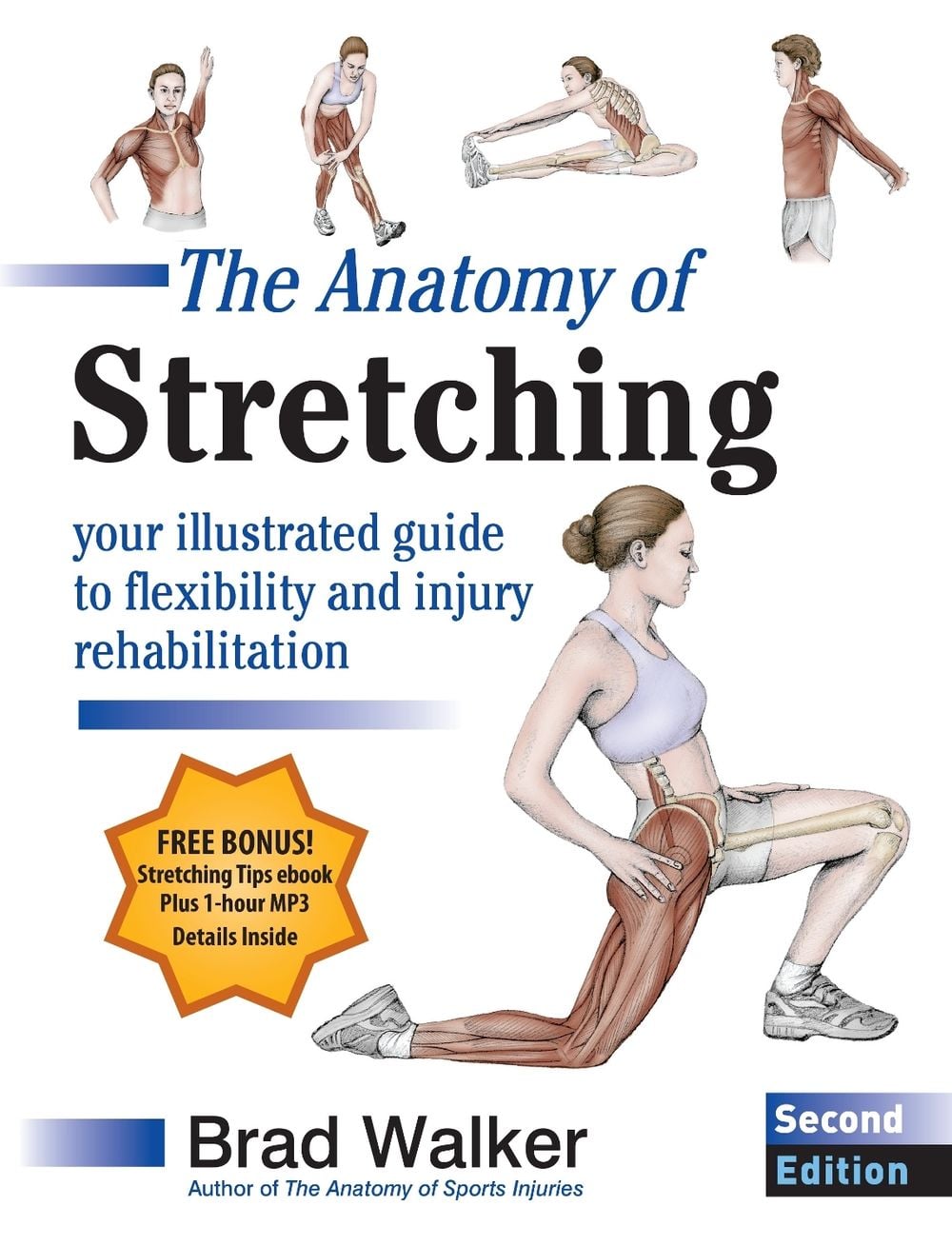 The Anatomy of Stretching, Second Edition by Brad Walker - ISBN: 9781583943717