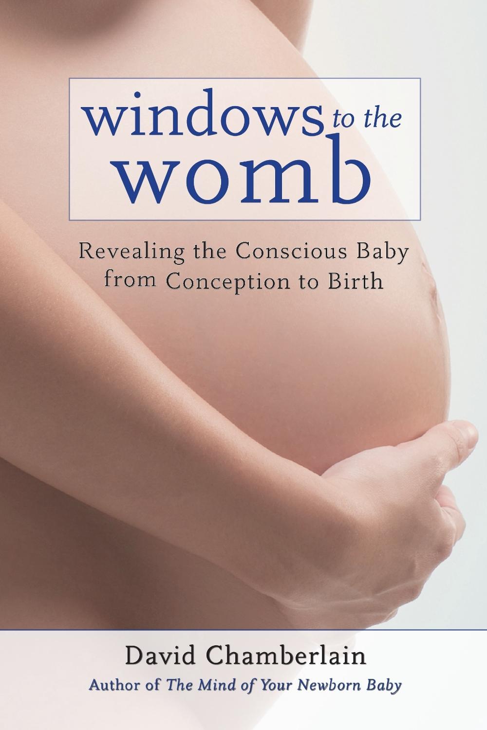 Windows to the Womb by David Chamberlain - ISBN: 9781583945513