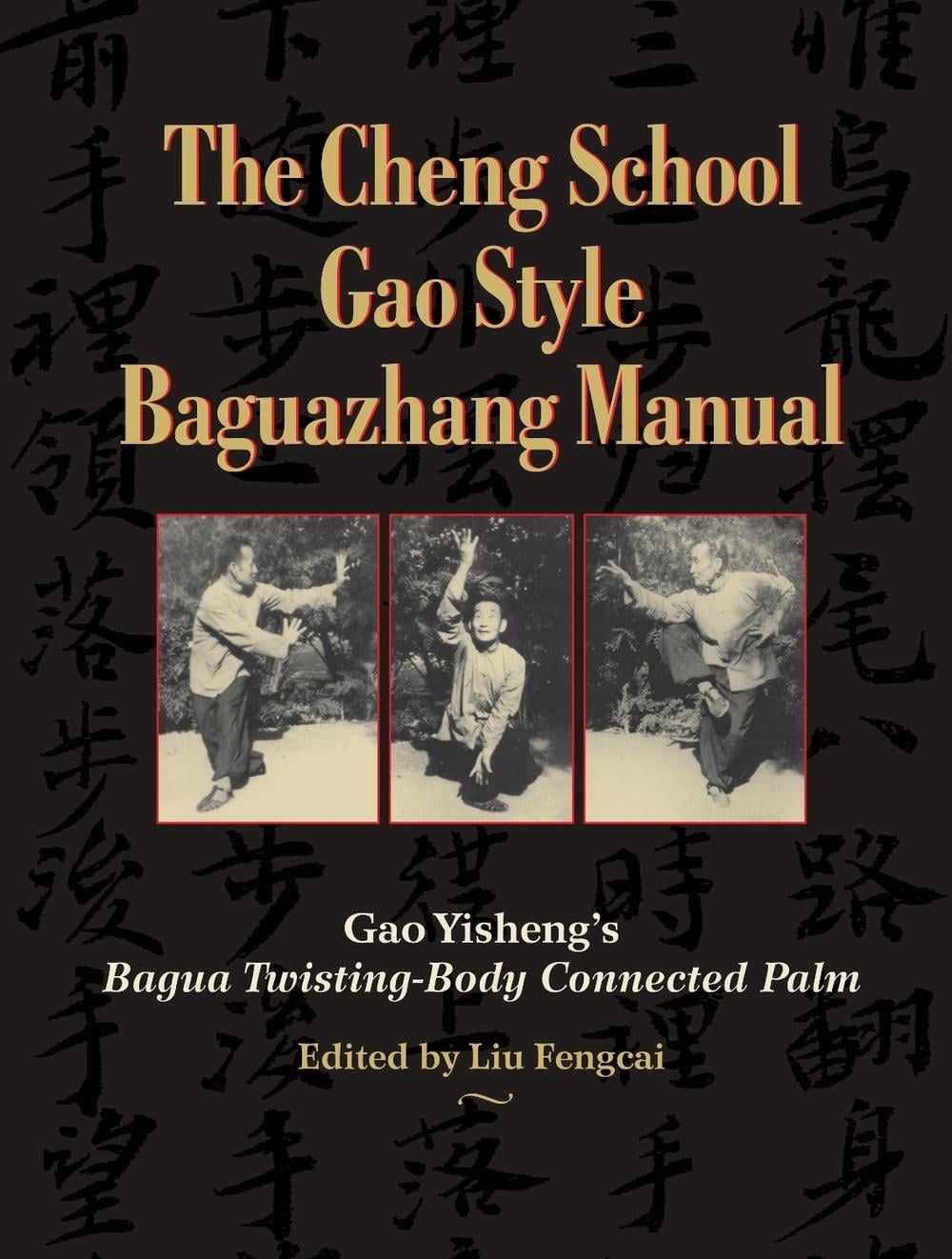 The Cheng School Gao Style Baguazhang Manual by Gao Yisheng - ISBN: 9781583946077