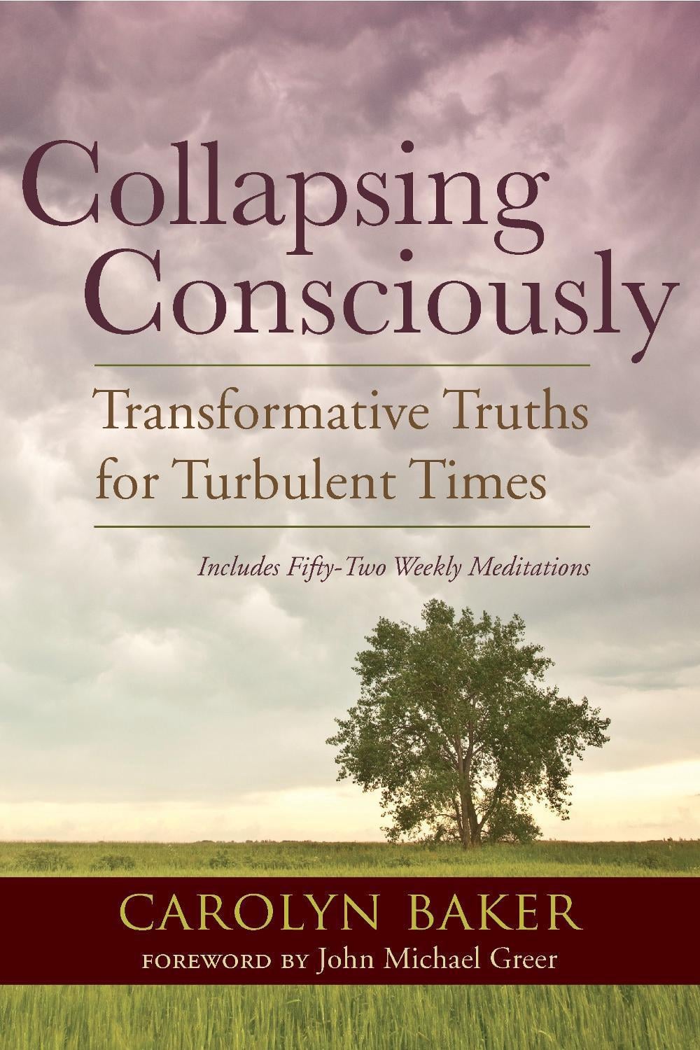 Collapsing Consciously by Carolyn Baker - ISBN: 9781583947128