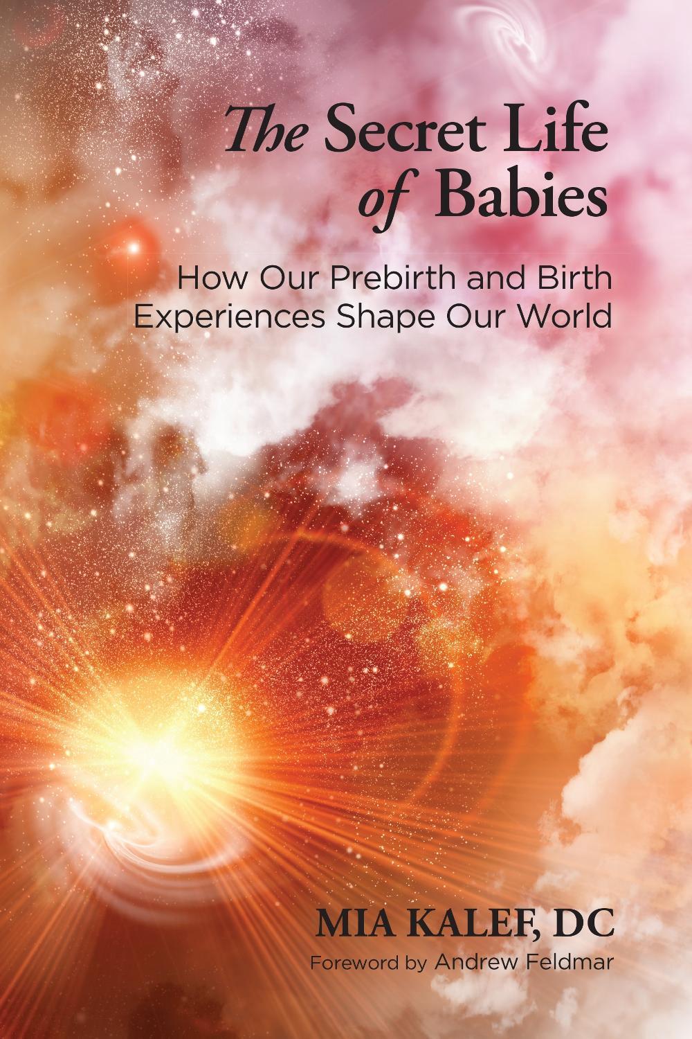 The Secret Life of Babies by Mia Kalef - ISBN: 9781583948033