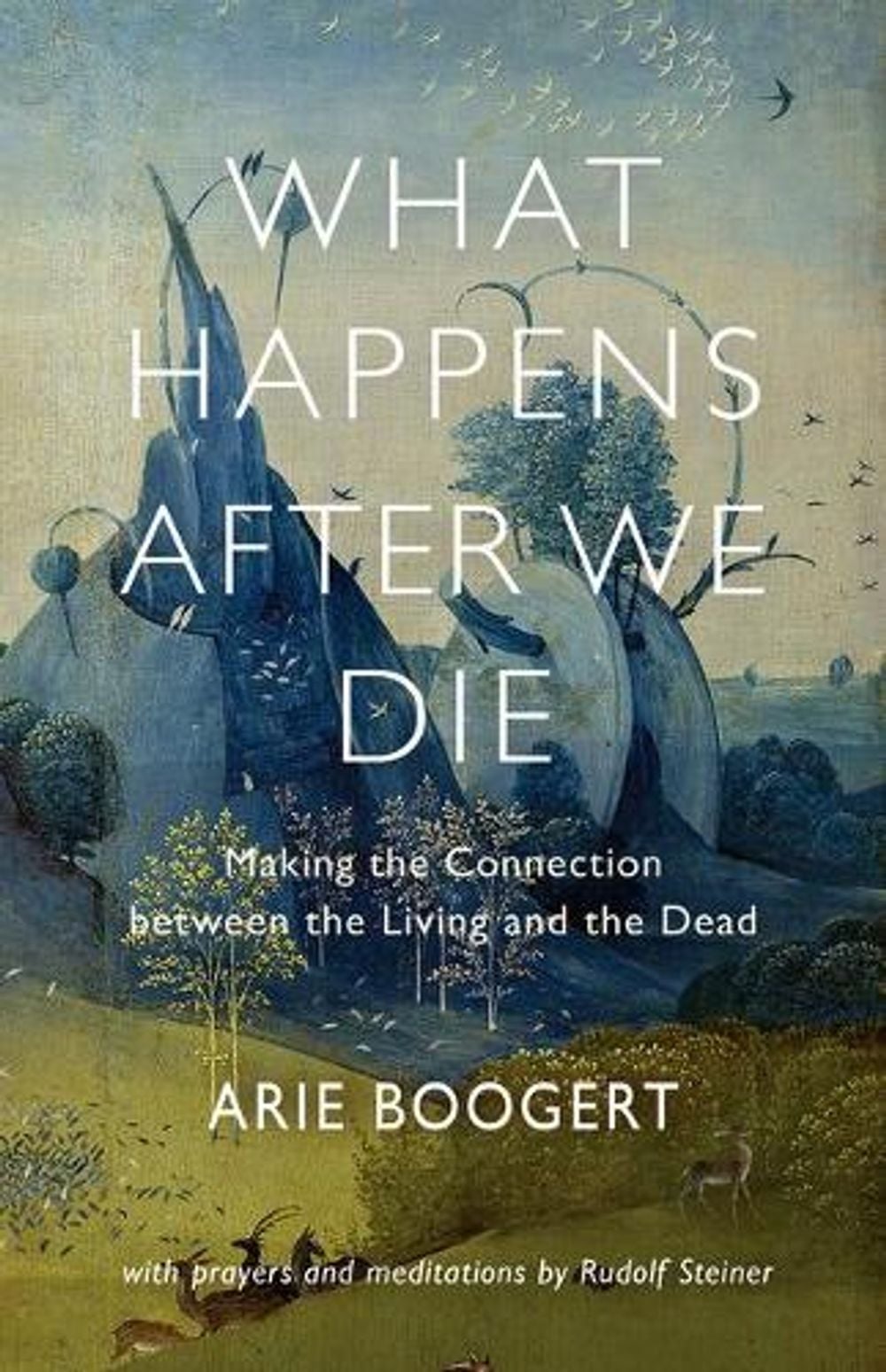 What Happens After We Die by Arie Boogert - ISBN: 9781584209119