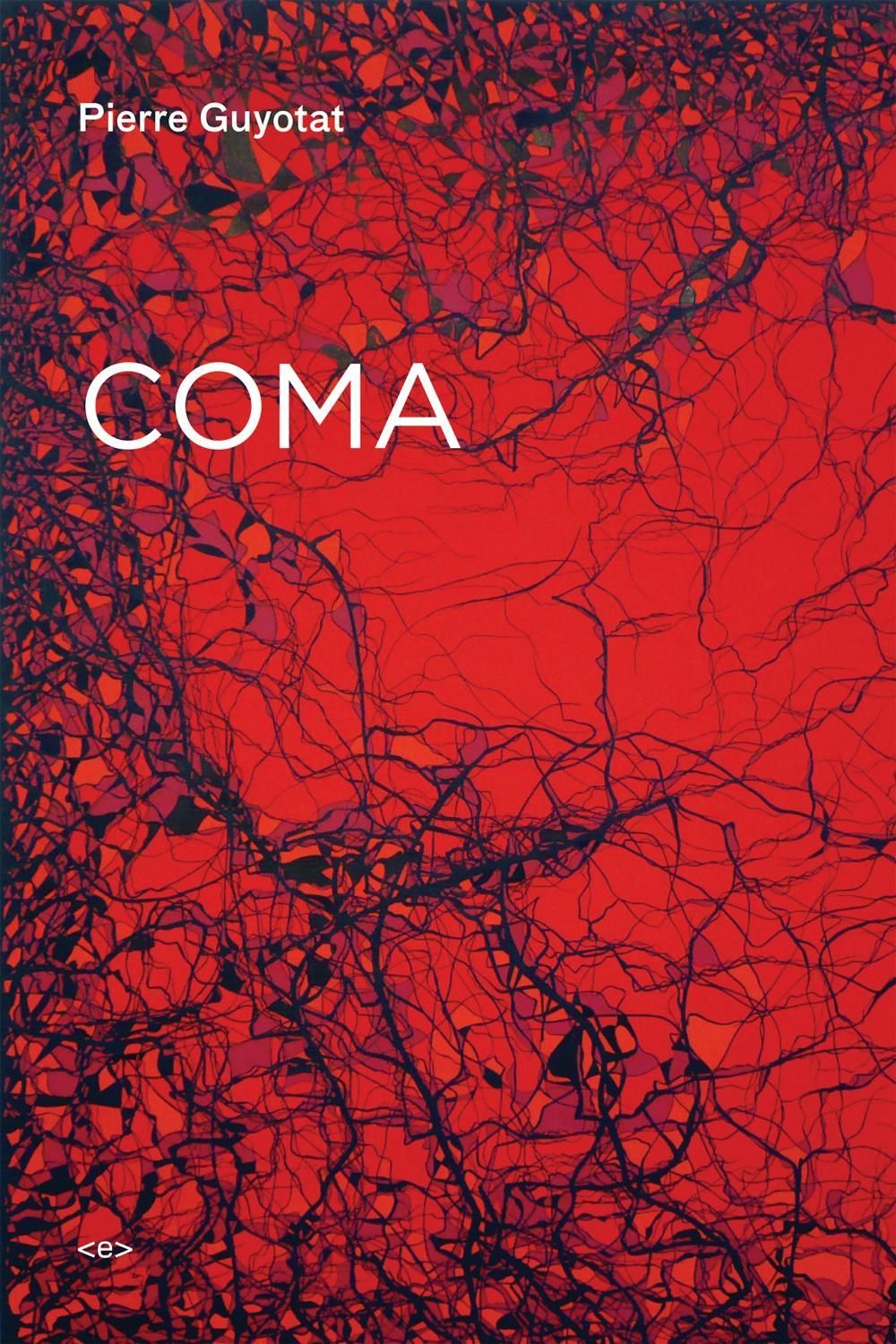 Coma by Pierre Guyotat - ISBN: 9781584350897