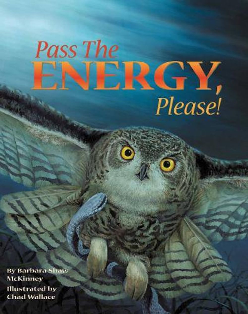 Pass the Energy, Please! by Barbara Shaw McKinney - ISBN: 9781584690023