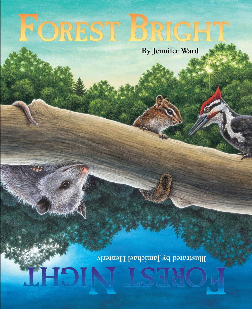 Forest Bright, Forest Night by Jennifer Ward - ISBN: 9781584690672