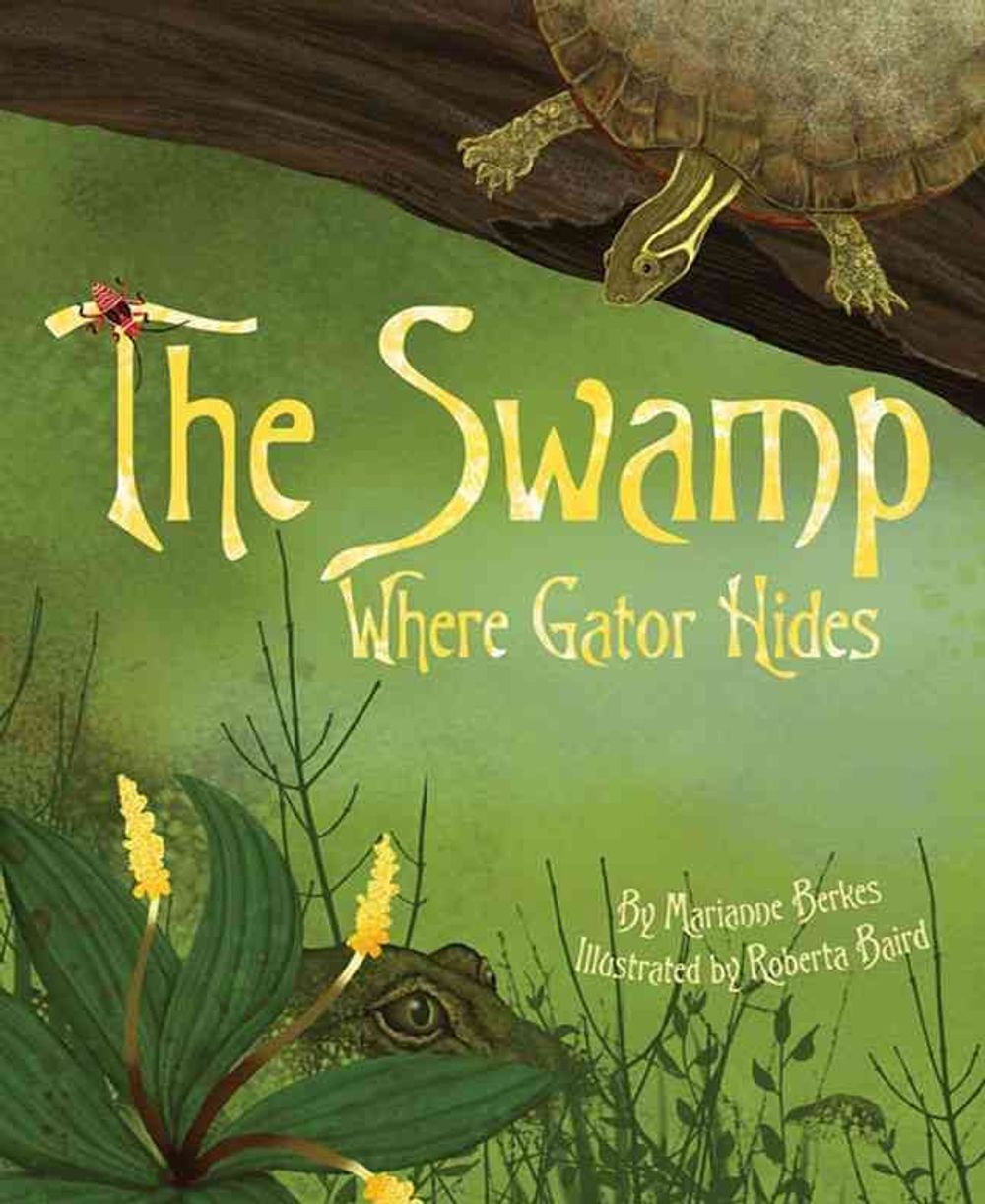 Swamp Where Gator Hides by Marianne Berkes - ISBN: 9781584694700