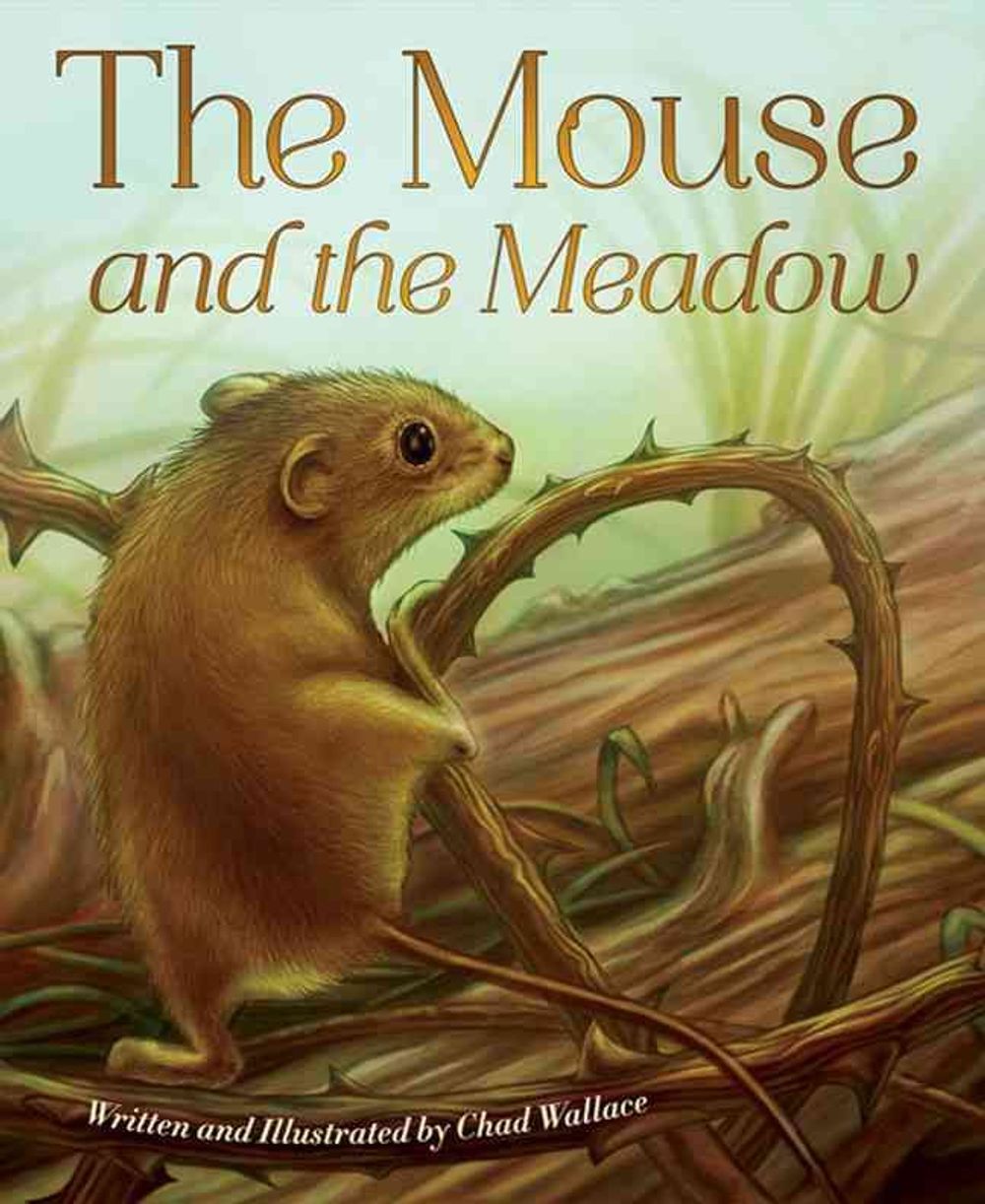 Mouse and the Meadow by Chad Wallace - ISBN: 9781584694816