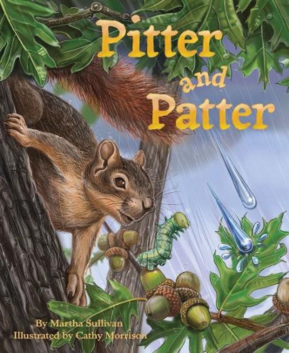 Pitter and Patter by Martha Sullivan - ISBN: 9781584695097