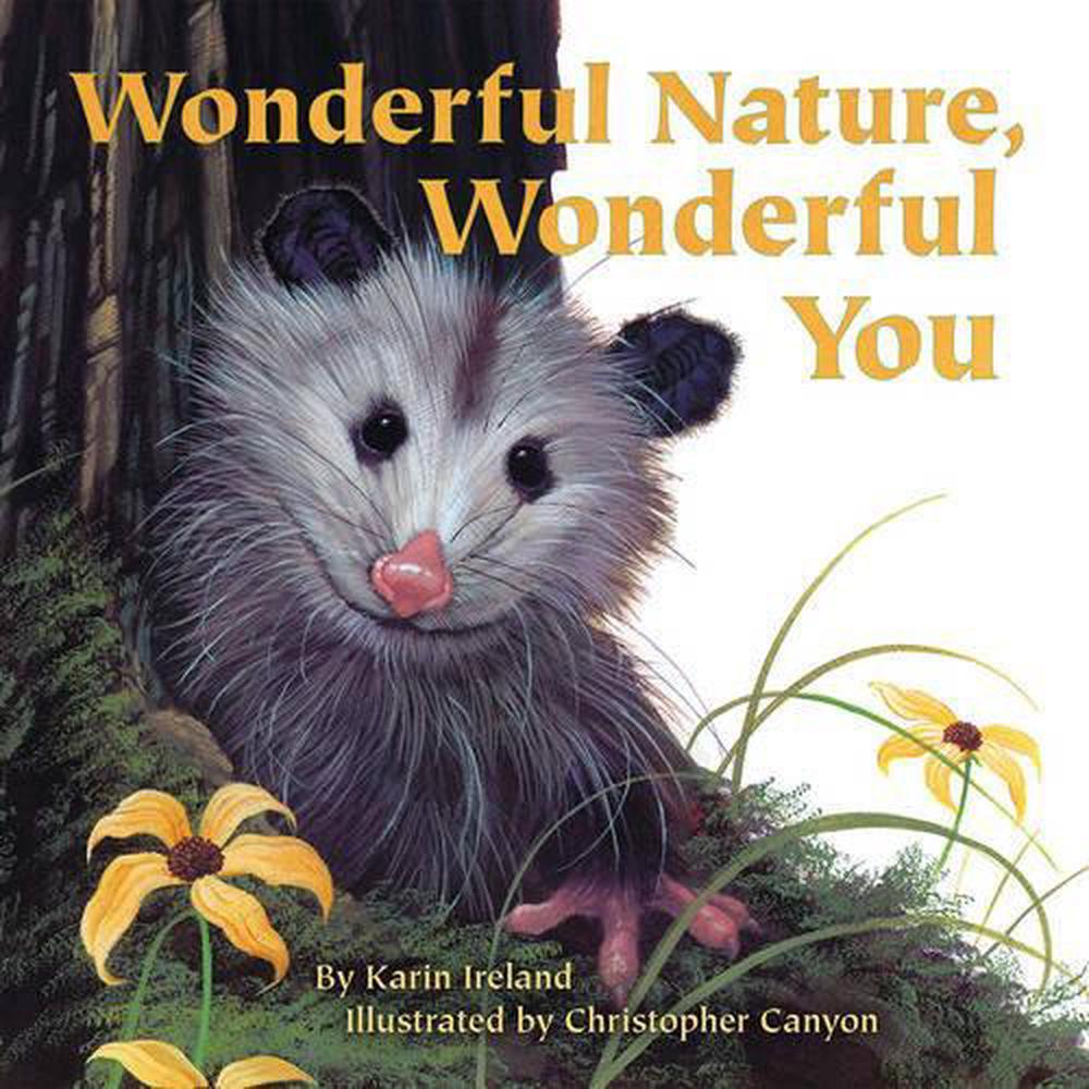 Wonderful Nature, Wonderful You by Karin Ireland - ISBN: 9781584695820
